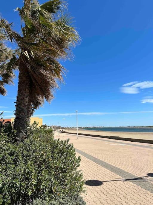 Studio Cosy A Deux Pas De La Plage ! جرْويسا المظهر الخارجي الصورة